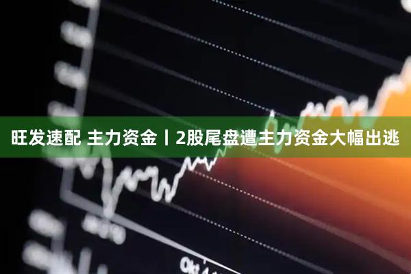 旺发速配 主力资金丨2股尾盘遭主力资金大幅出逃