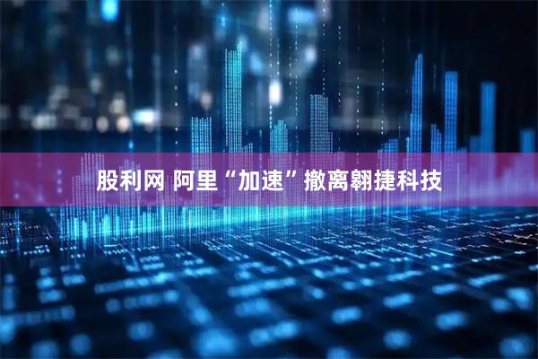 股利网 阿里“加速”撤离翱捷科技