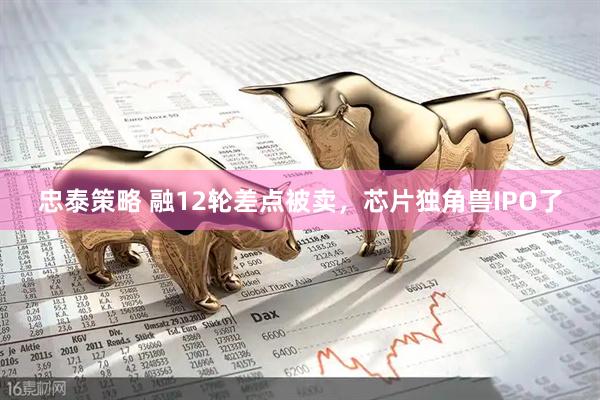 忠泰策略 融12轮差点被卖，芯片独角兽IPO了